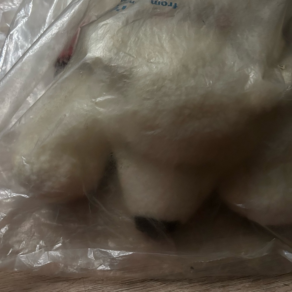 Plush White Stuffed Animal Toy